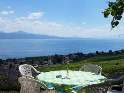 Terrasse CaveauSt-Amour à Chenaux