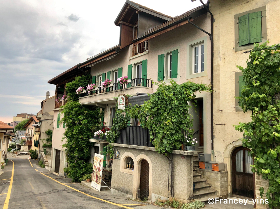 Cave Francey-Vins