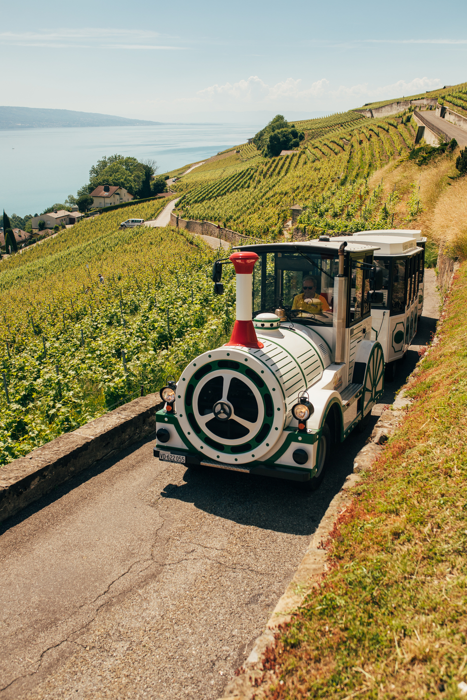 Die Touristenzug Lavaux Panoramic