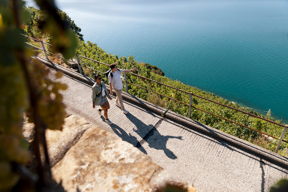 La Route des Grands Crus - ST
