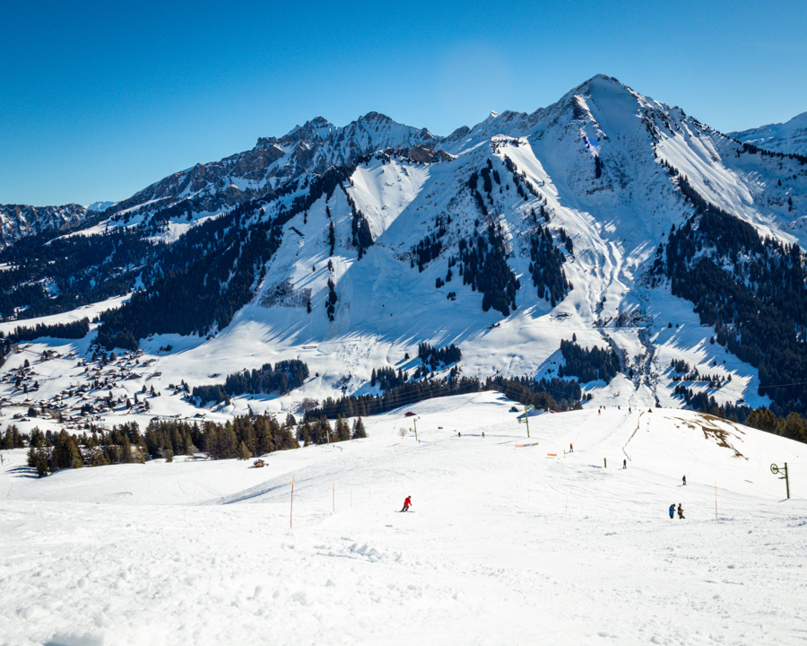 Skiers - winter - Les Mosses