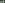 Narcisses flower slider