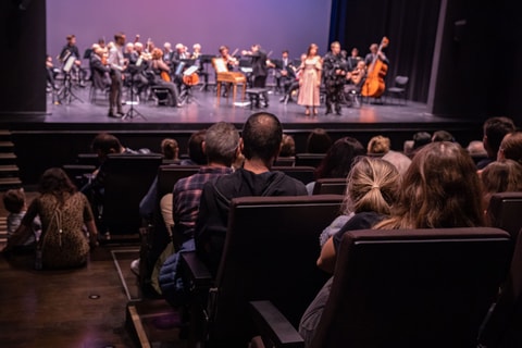 Concert en famille - Pierre et le loup (BE)