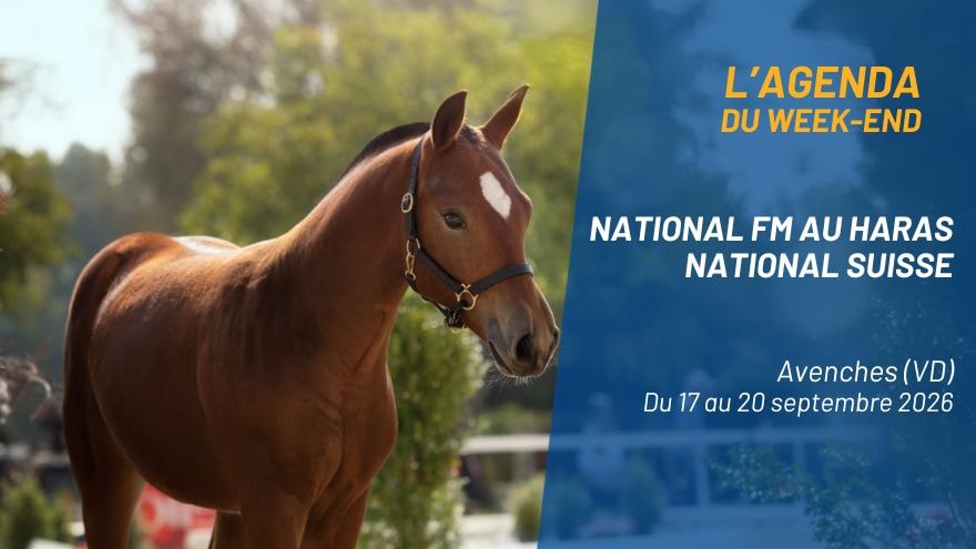 L&rsquo;agenda du week-end en Suisse romande – Septembre
