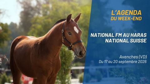 L'agenda du week-end en Suisse romande - Septembre
