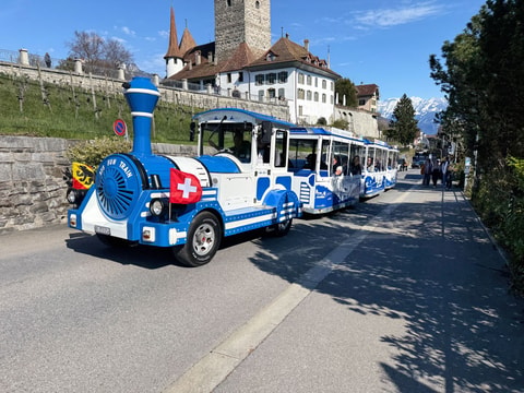 Spiezer Zügli am Thunersee