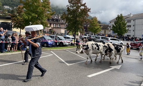 Désalpe de Blonay (VD)