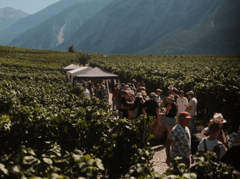 Balade des vins à Salgesch (VS)