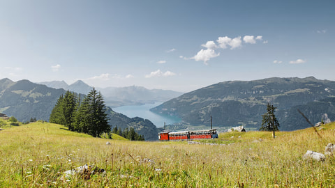 Schynige Platte (BE)