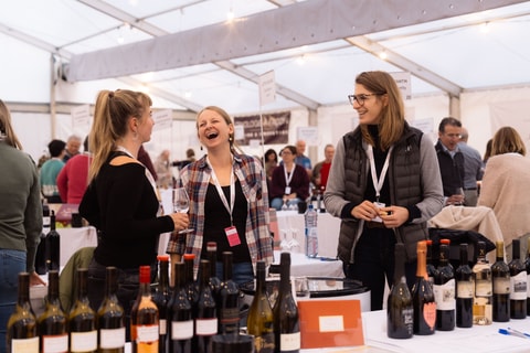 DiVINes ! Salon suisse des vigneronnes à Rolle (VD)