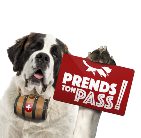 Le PASS Saint-Bernard