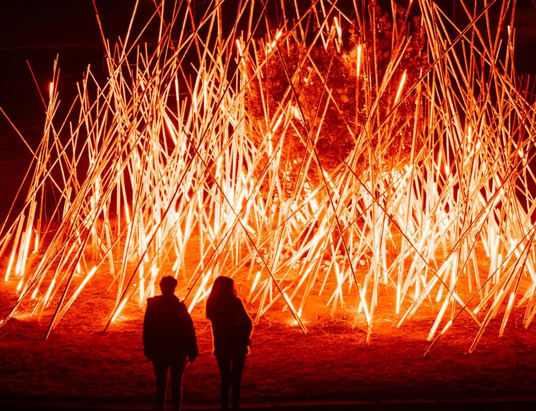 Rheinlicht Festival