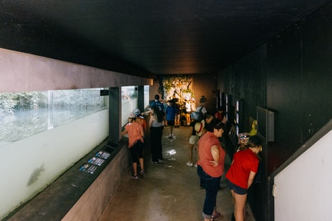 Les Mystères de l'eau à la Maison de la Rivière (VD)