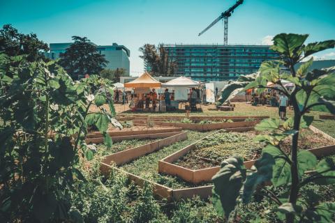 Jardin des Nations