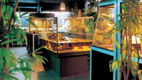 Vivarium de Meyrin