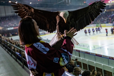 Genève-Servette Hockey Club (GSHC)