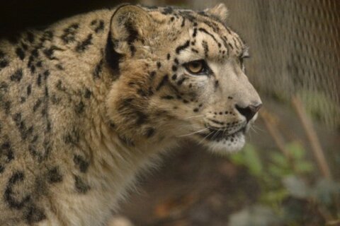 Bioparc Genève