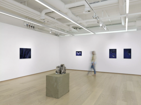 Pace Gallery