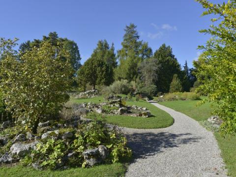 Conservatoire et Jardin botaniques de Genève