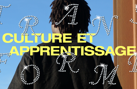 Transforme Festival
