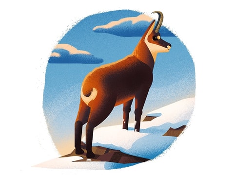 Chasse au trésor à Vercorin
