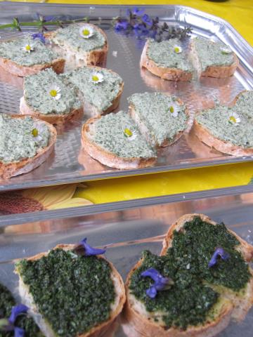 Apéro printanier, balade plantes sauvages et comestibles – Genève