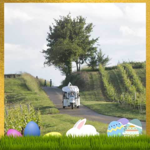 Balade des vignobles genevois en TukTuk et chasse aux oeufs