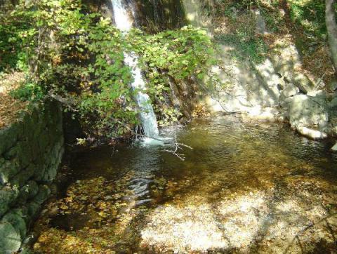 Combe du Pilouvi