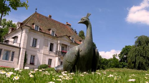 Expo « Les oiseaux de notre région » – Le Locle