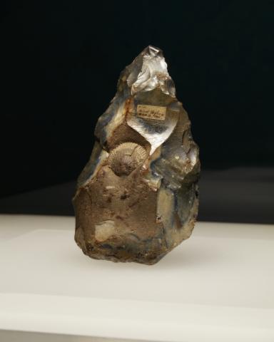 Expo « Des choses » au Laténium – Hauterive
