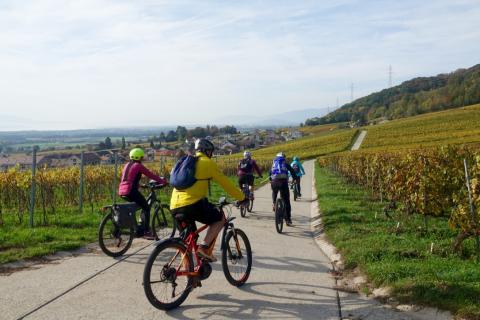 Sortie guidée à e-bike « Vélo santé ! » sur la Côte lémanique
