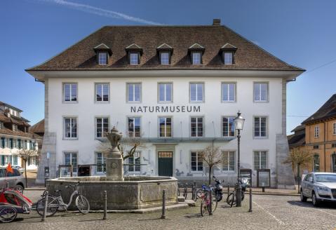 Musée d&rsquo;histoire naturelle de Soleure