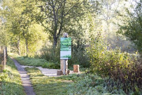 Réveil printanier du jardin des mineurs – Travers