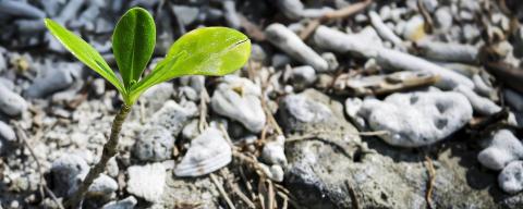 Expo « Sounding Soil, nos sols ont des sons » – Cheseaux-Noréaz