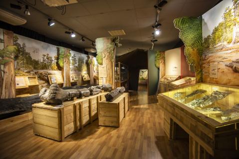 Expo « Dinosaures, les géants du vignoble » – Porrentruy