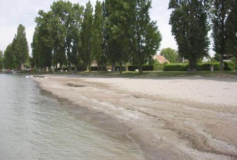 Eveil du Léman, à la découverte de la biodiversité