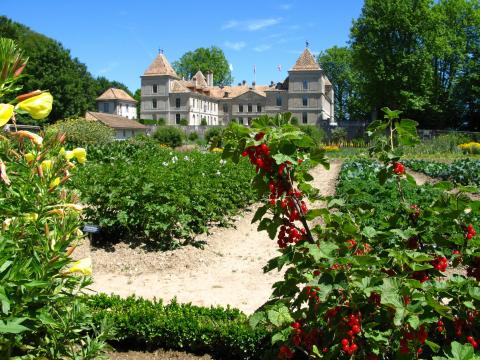 Atelier de vacances pour enfants au Château de Prangins
