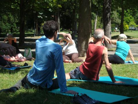 Cours gratuits de Feldenkrais dans les parcs de Genève