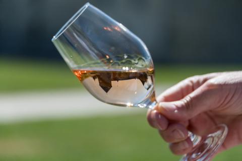 DiVINes! Salon suisse des vigneronnes – Rolle