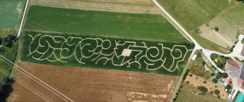 Labyrinthe de maïs – Bottens