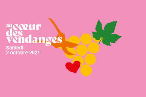 Au coeur des vendanges