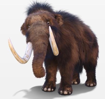 Expo « Les Géants de l&rsquo;Age de glace » au centre commercial Les Charpentiers à Morges