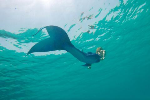 Les Petites Sirènes