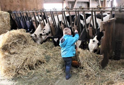Goûter et visite à la ferme – Château-d&rsquo;Oex