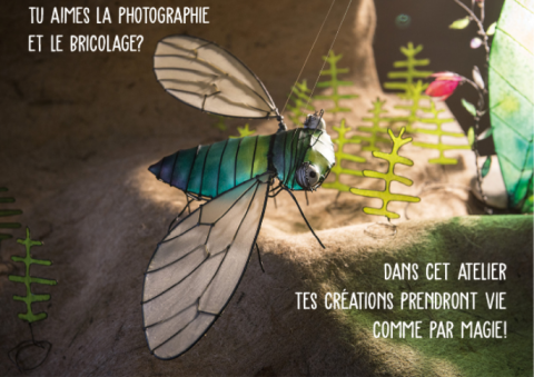 Stage de Stop Motion pour enfants et jeunes – La Tour-de-Peilz