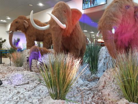 Les géants de l&rsquo;Age de Glace – Morges