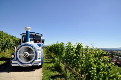 Le petit train du Vully