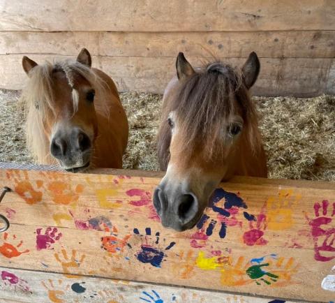 Ferme pédagogique Aux P&rsquo;tites Bottes, à Siviriez