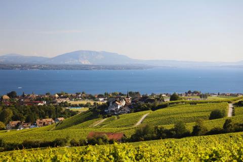 La balade des Capites