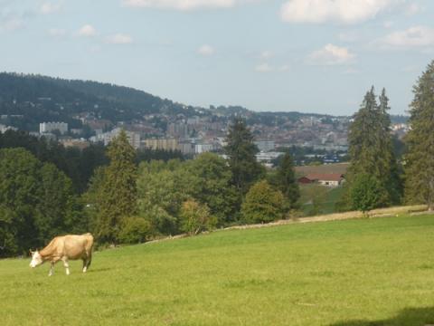 Chemins des 7 abeilles – La Chaux-de-Fonds